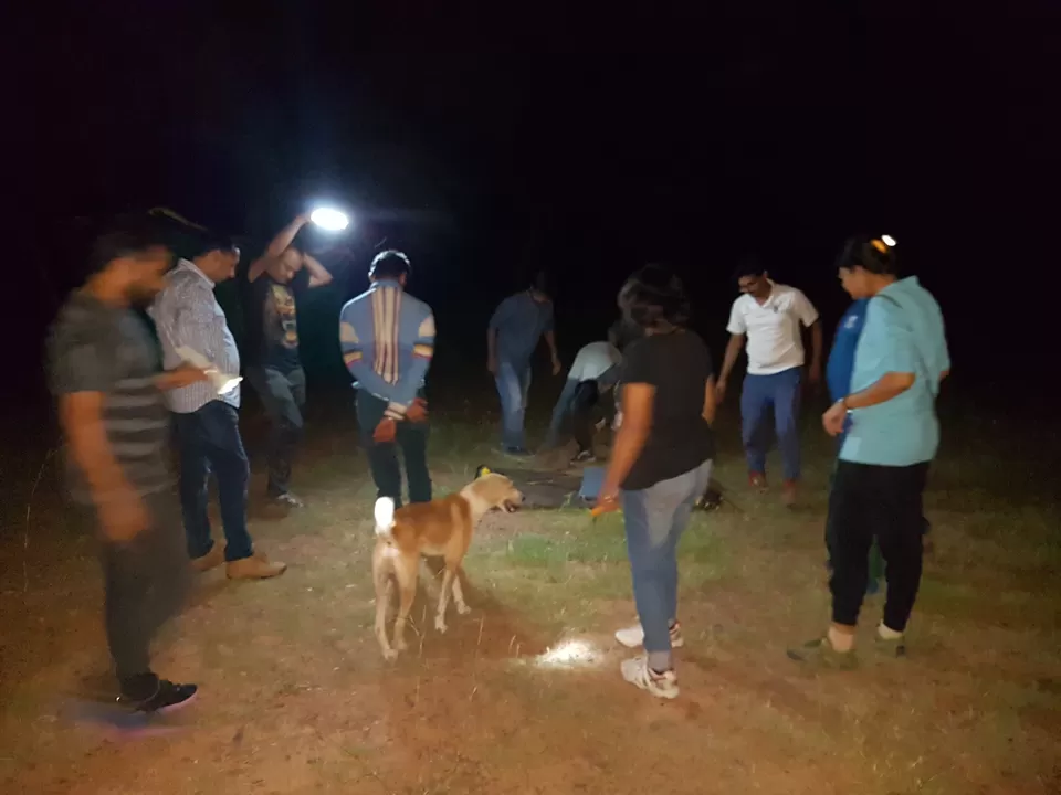 Photo of Survival Night in Forest by Ambuj Jain