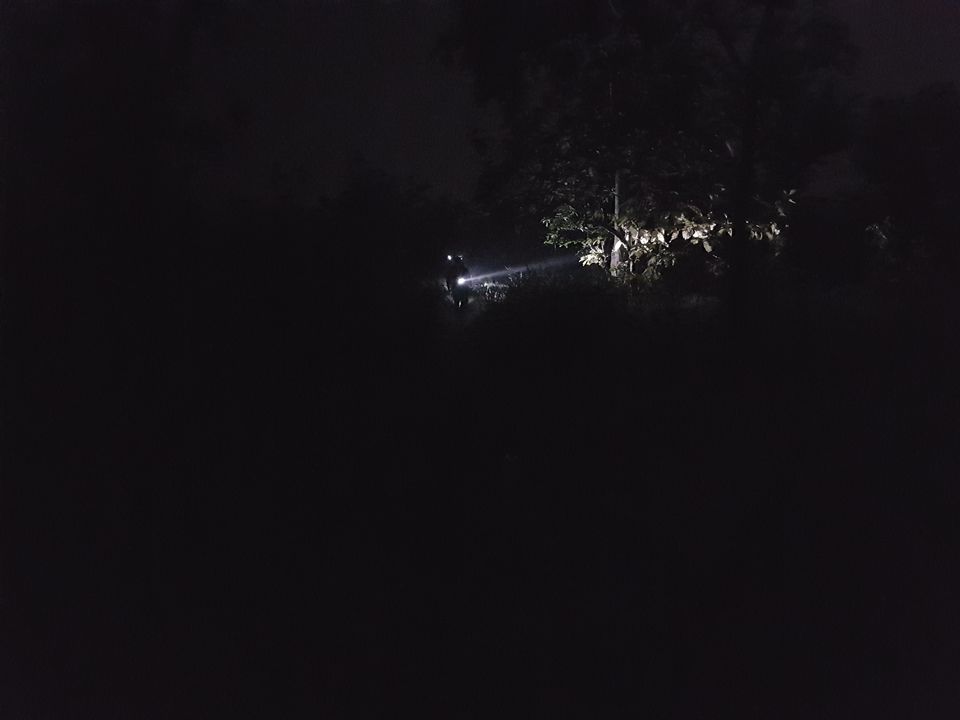 Photo of Survival Night in Forest by Ambuj Jain