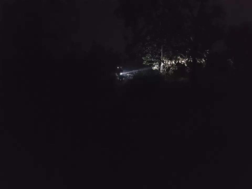 Photo of Survival Night in Forest by Ambuj Jain
