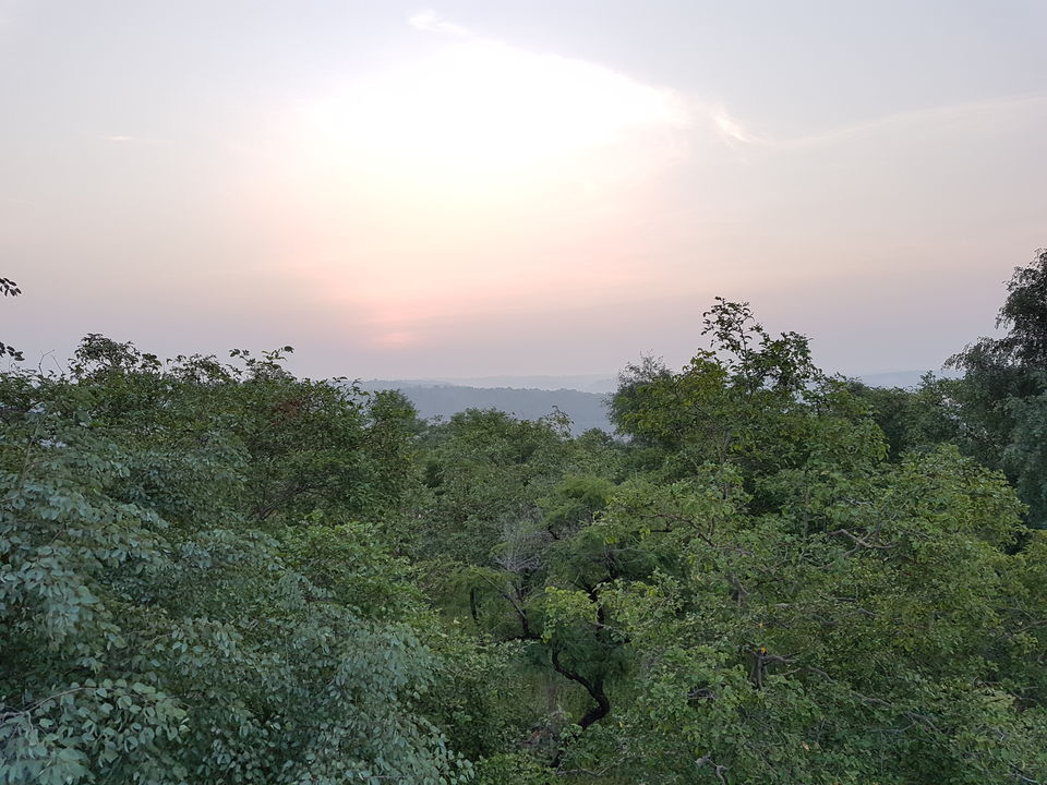 Photo of Survival Night in Forest by Ambuj Jain