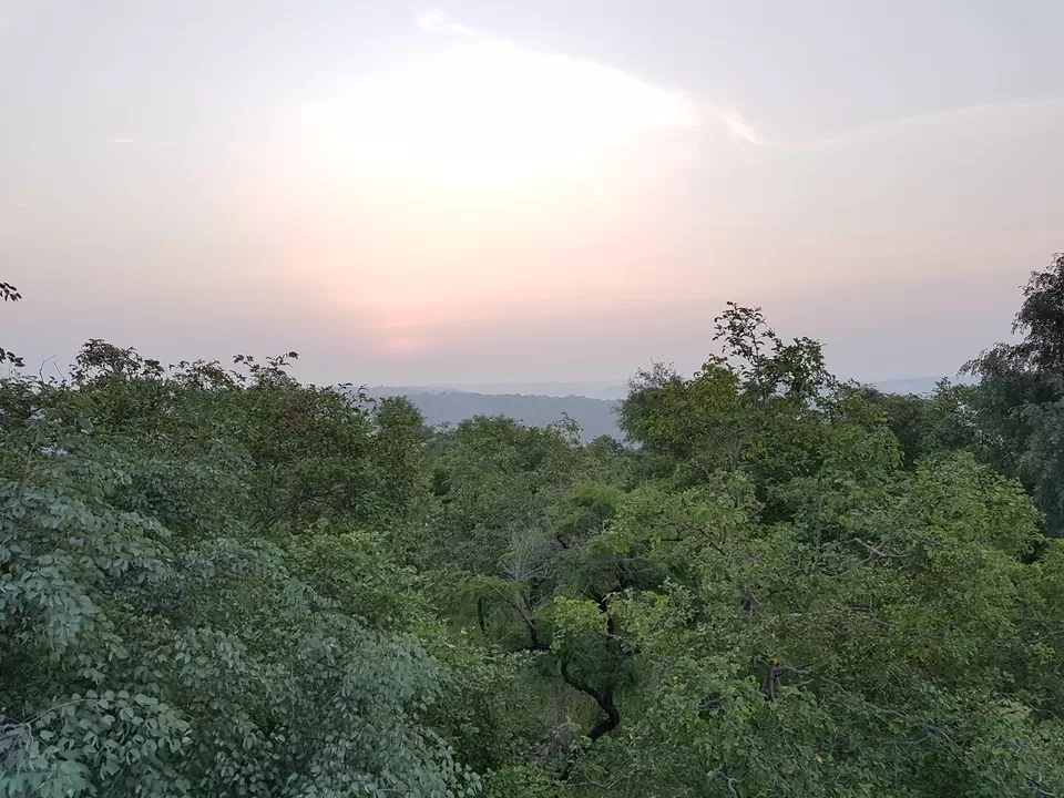 Photo of Survival Night in Forest by Ambuj Jain