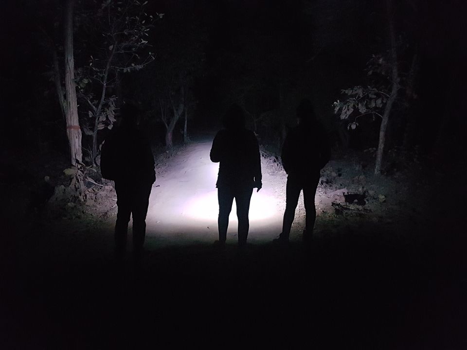 Photo of Survival Night in Forest by Ambuj Jain