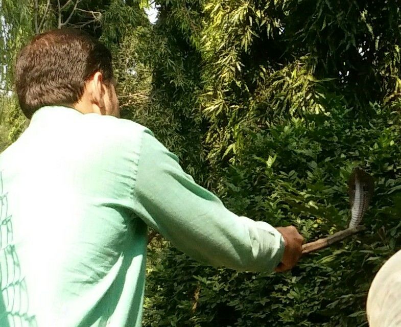 Photo of Guide to Yawal Wildlife Sanctuary 16/18 by Ambuj Jain