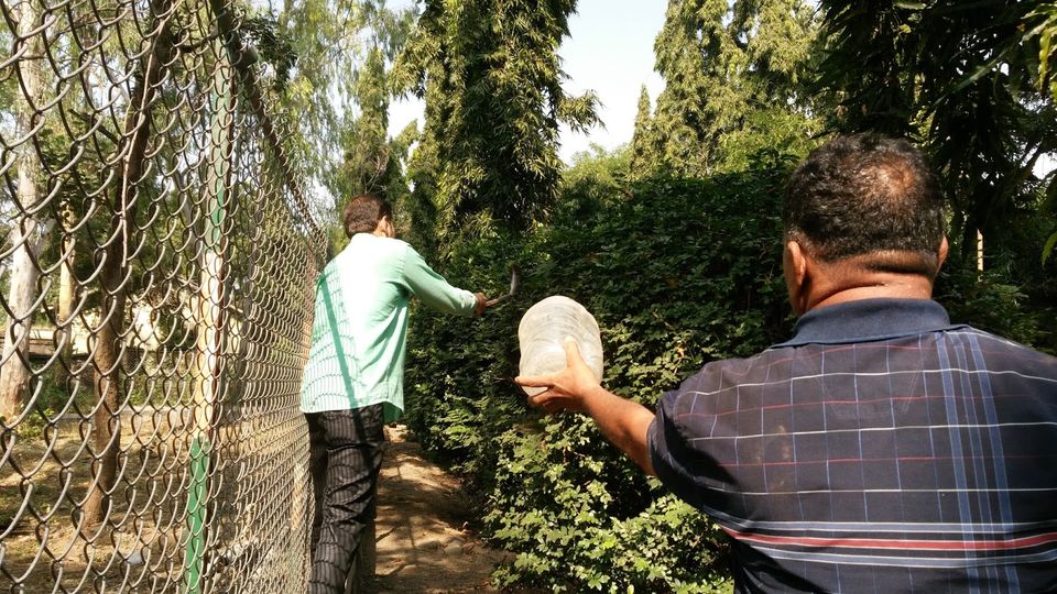 Photo of Guide to Yawal Wildlife Sanctuary 17/18 by Ambuj Jain