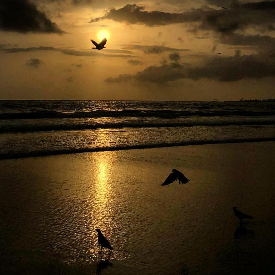 Photo of Orange is the new Black by Amit Tarai