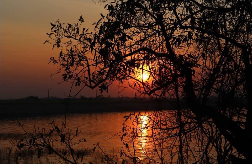 Photo of Orange is the new Black by Amit Tarai