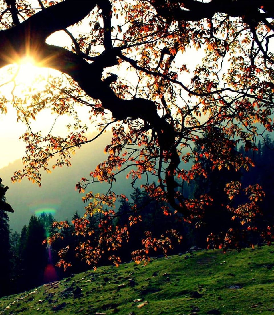 Photo of Uttarakhand- an offbeat journey by Amit Tarai