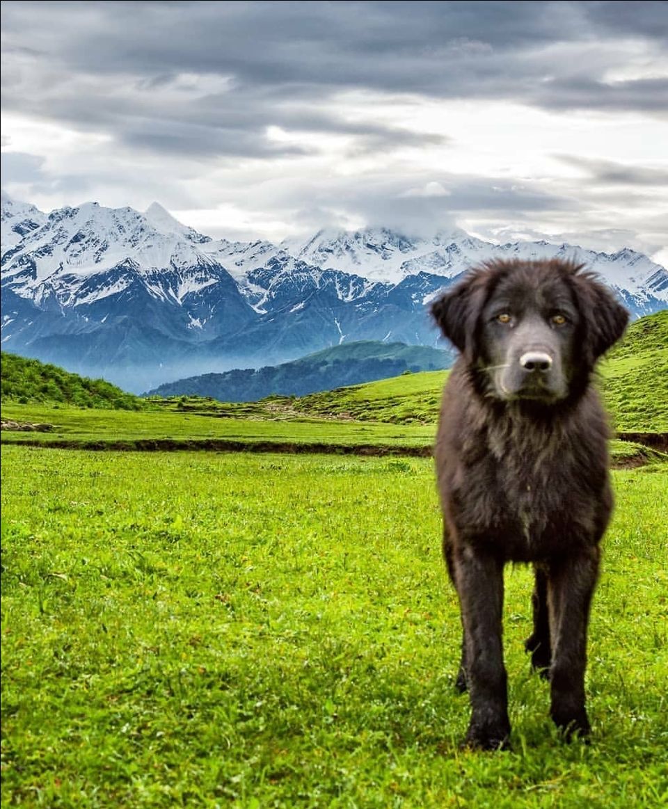 Photo of Uttarakhand- an offbeat journey by Amit Tarai