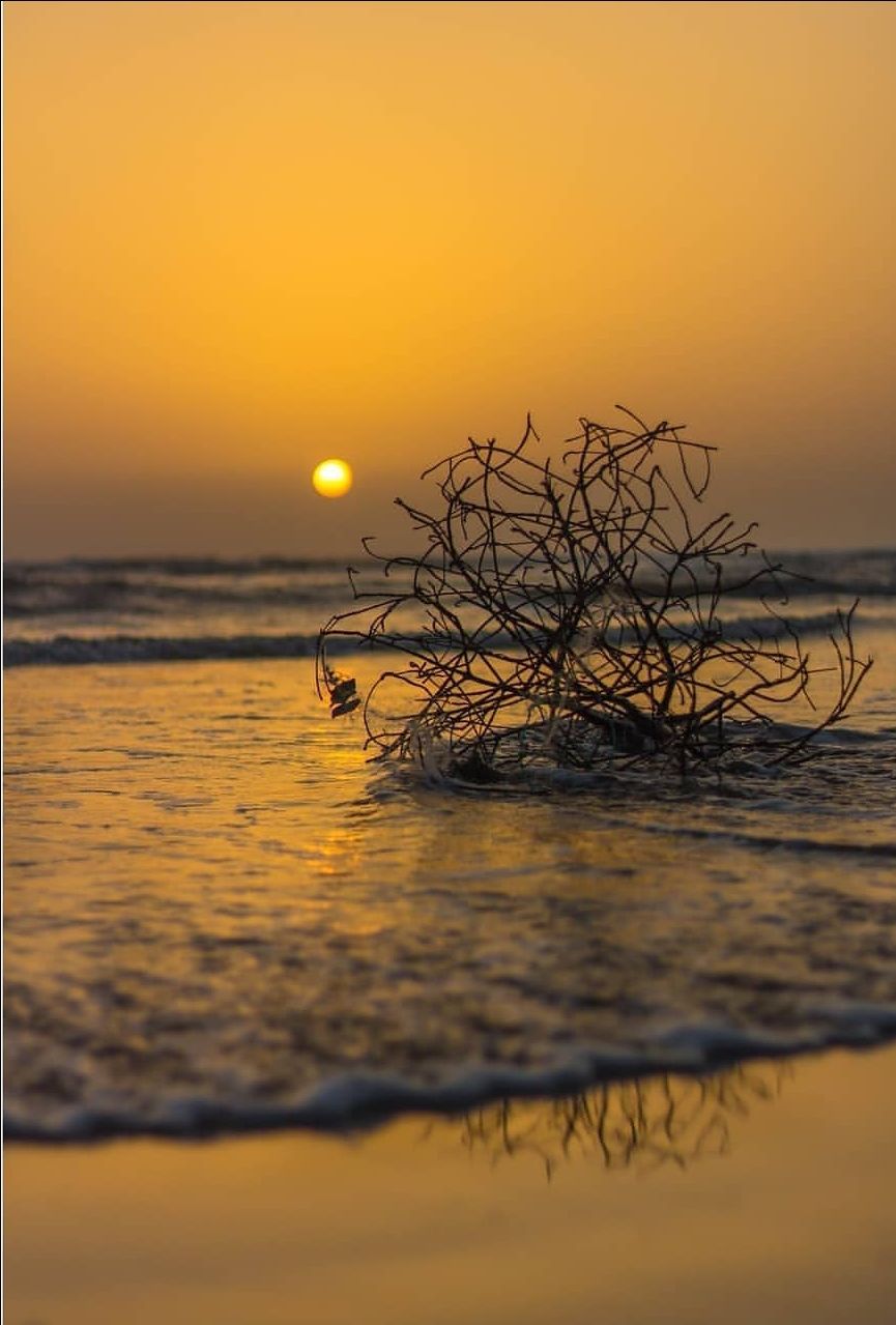 Photo of Alibaug - frolic in the sea by Amit Tarai