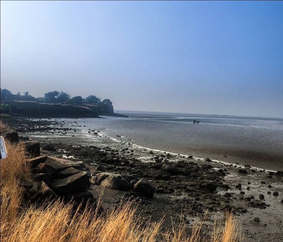 Photo of Alibaug - frolic in the sea by Amit Tarai
