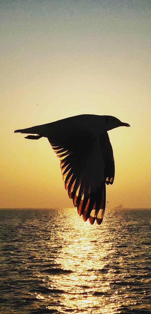 Photo of Alibaug - frolic in the sea by Amit Tarai