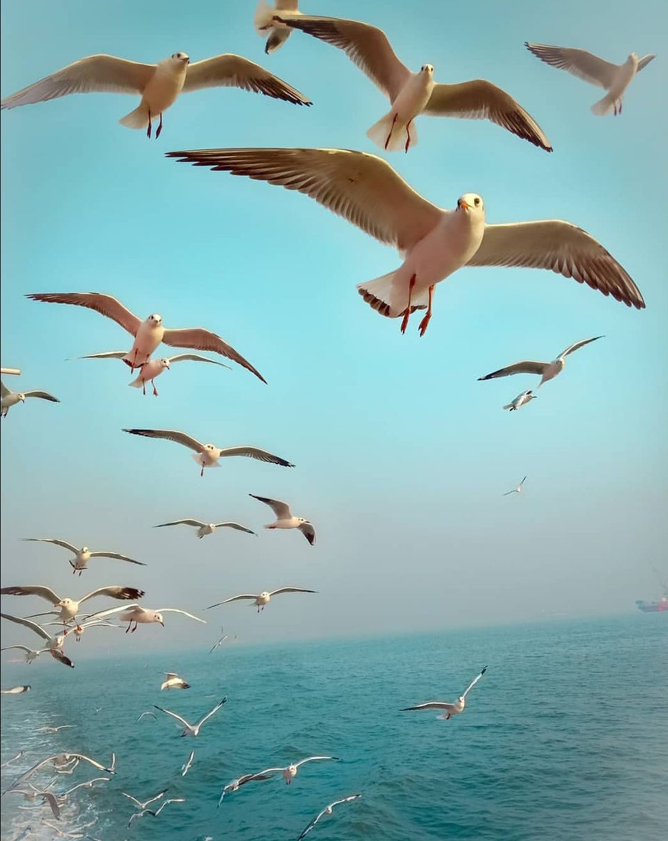 Photo of Alibaug - frolic in the sea by Amit Tarai