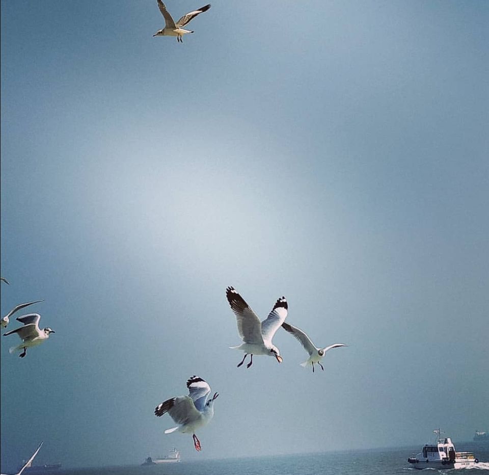 Photo of Alibaug - frolic in the sea by Amit Tarai