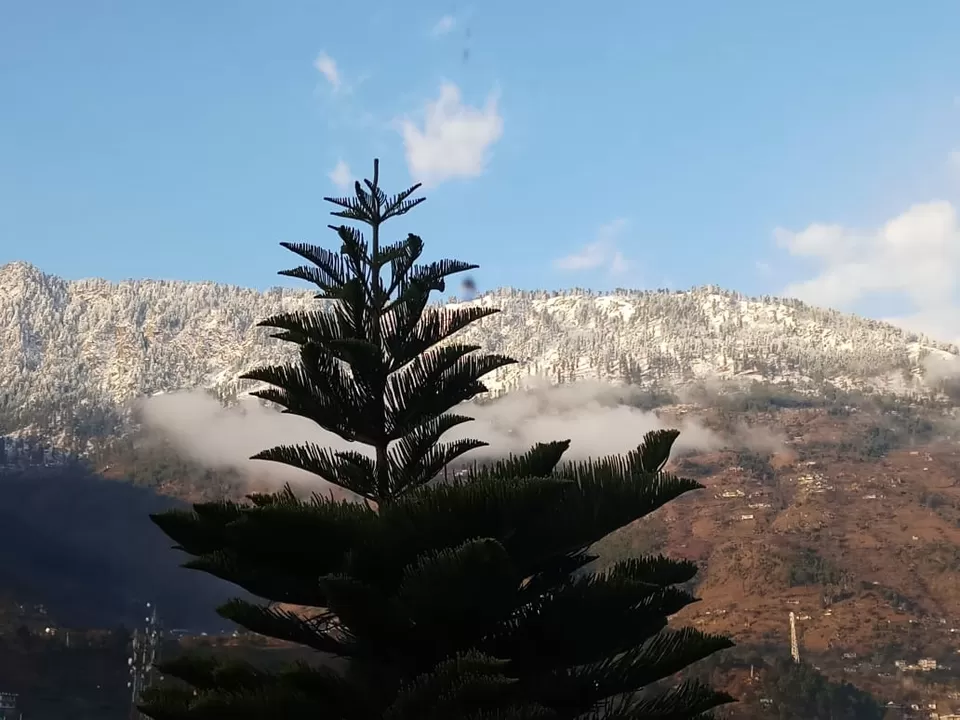 Photo of Manali, Himachal Pradesh, India by Piyush Tiwary