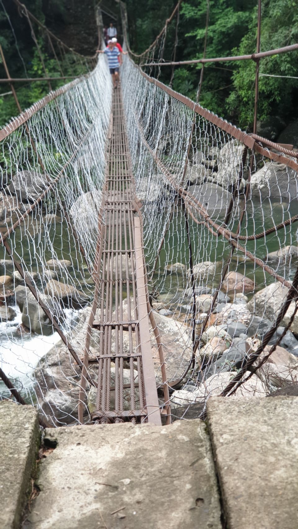 Photo of 3700 one side stairs trek- Double Decker Living Root Bridge. by Pratik Gupta