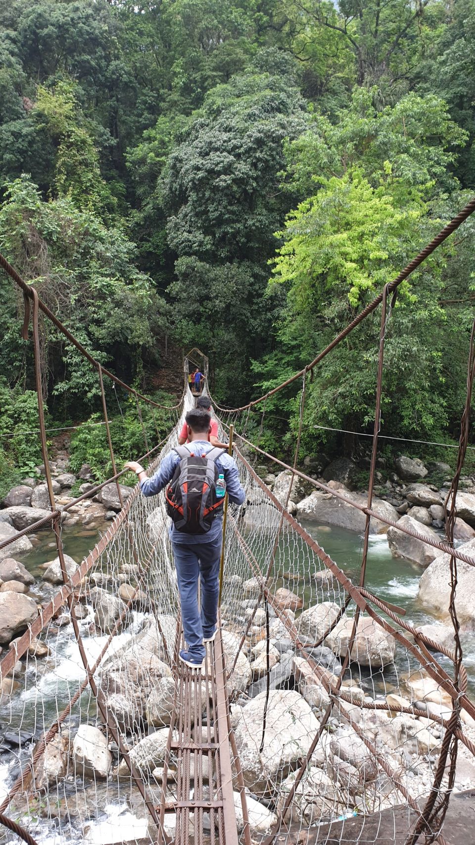 Photo of 3700 one side stairs trek- Double Decker Living Root Bridge. by Pratik Gupta