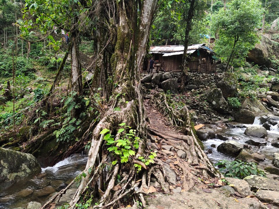 Photo of 3700 one side stairs trek- Double Decker Living Root Bridge. by Pratik Gupta