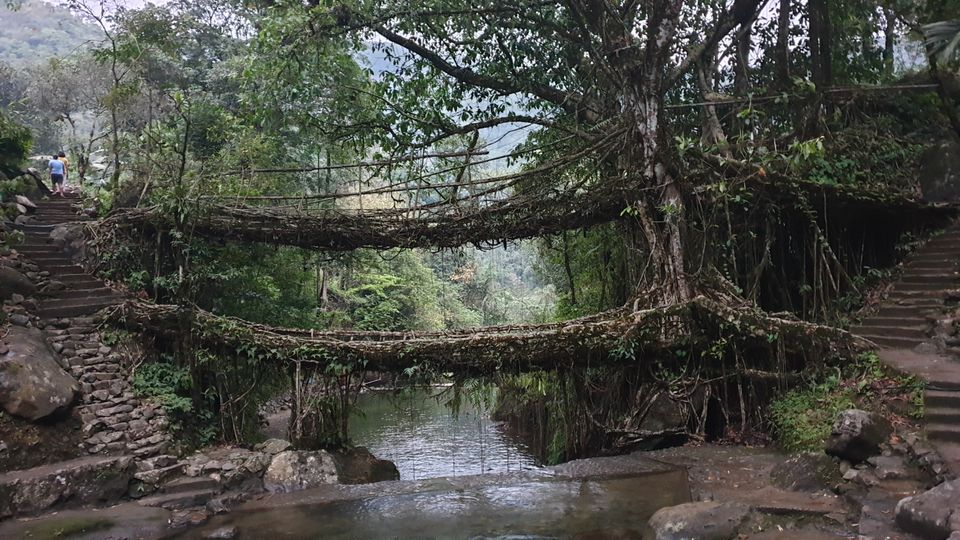 Photo of 3700 one side stairs trek- Double Decker Living Root Bridge. by Pratik Gupta