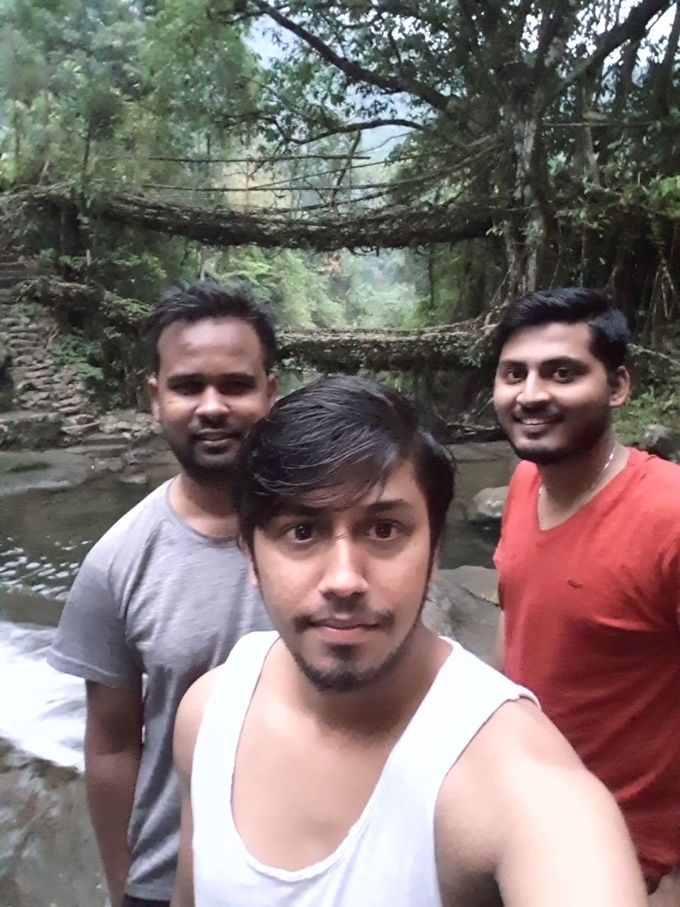 Photo of 3700 one side stairs trek- Double Decker Living Root Bridge. by Pratik Gupta