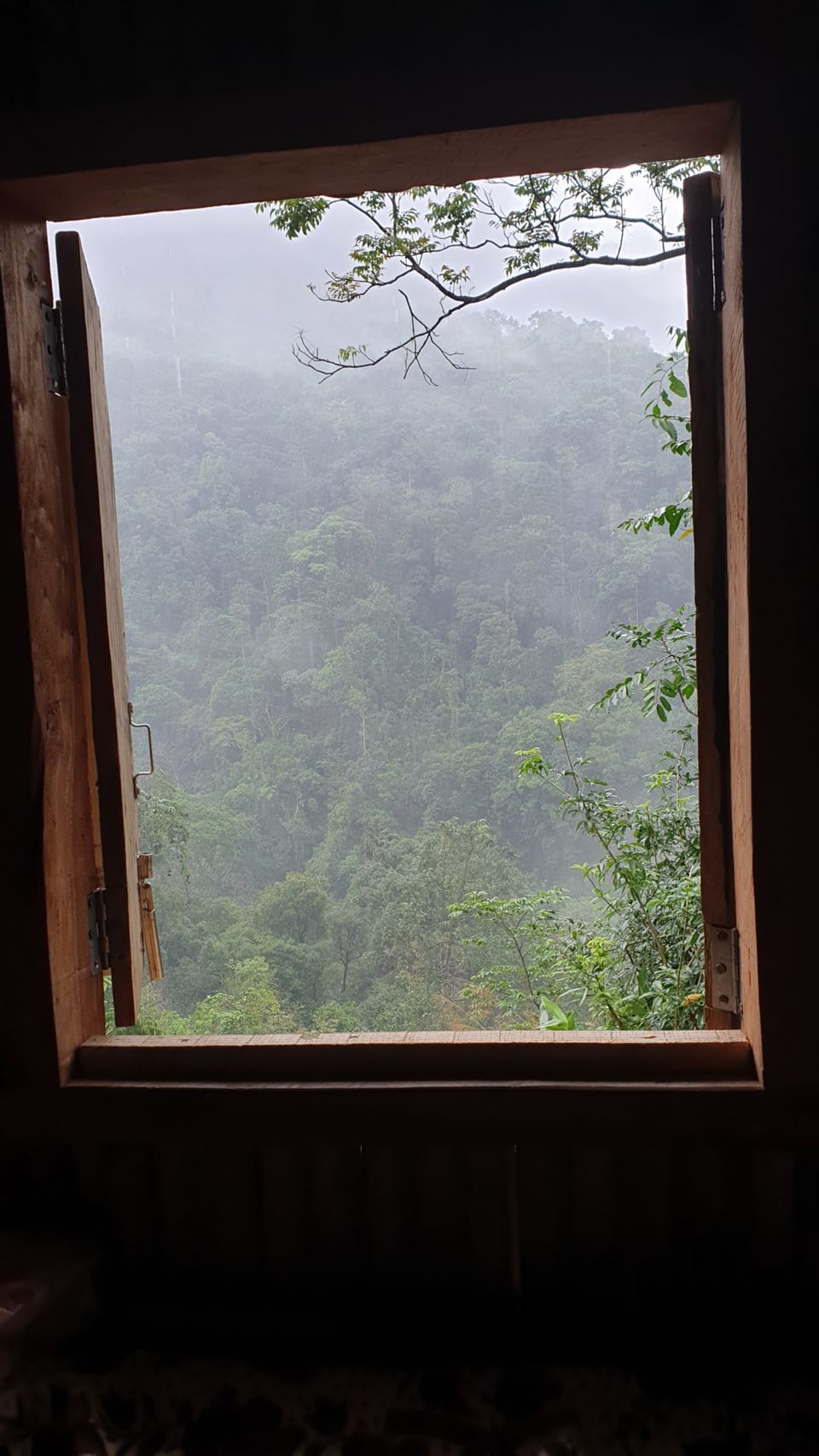 Photo of 3700 one side stairs trek- Double Decker Living Root Bridge. by Pratik Gupta