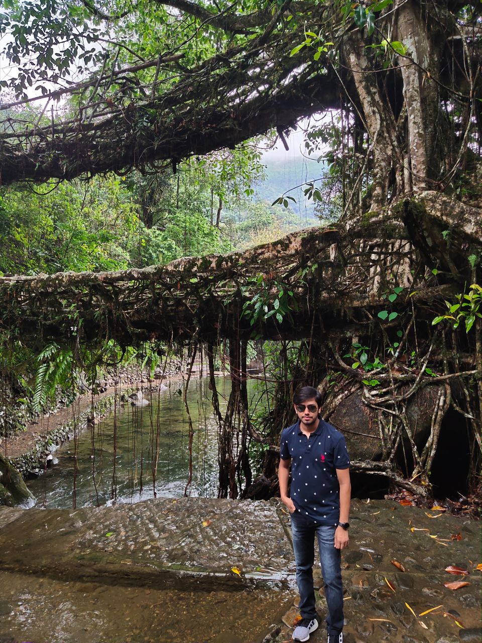 Photo of 3700 one side stairs trek- Double Decker Living Root Bridge. by Pratik Gupta