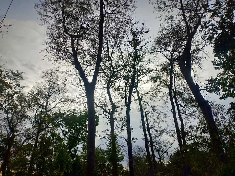 Photo of Forest Rangers College, Balaghat, Balaghat, Madhya Pradesh, India by Rahul Nawani