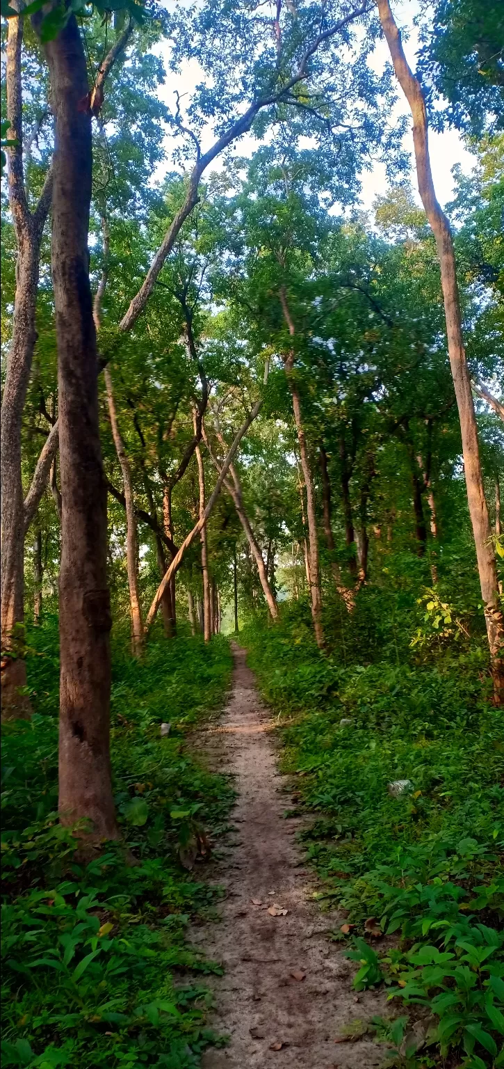 Photo of Forest Rangers College, Balaghat, Balaghat, Madhya Pradesh, India by Rahul Nawani