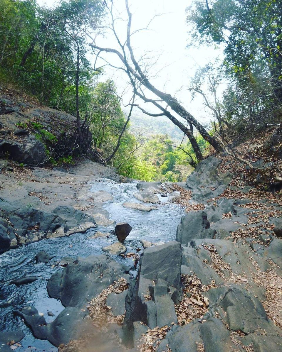 Photo of Jungle, Waterfalls and everything Non-Beachy : My Goan Adventure! #offbeatgoa by Anagha