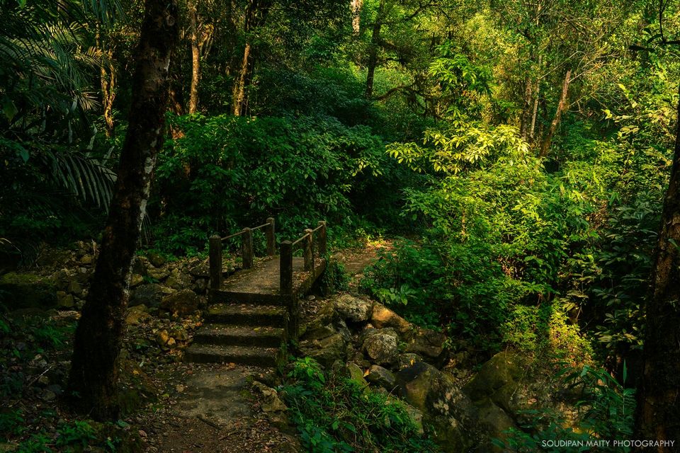 Photo of Tyrna, Meghalaya, India by Soudipan Maity