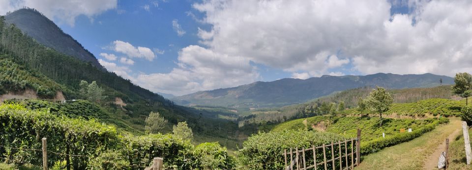 Photo of Munnar, Kerala, India by Harshad Kalled
