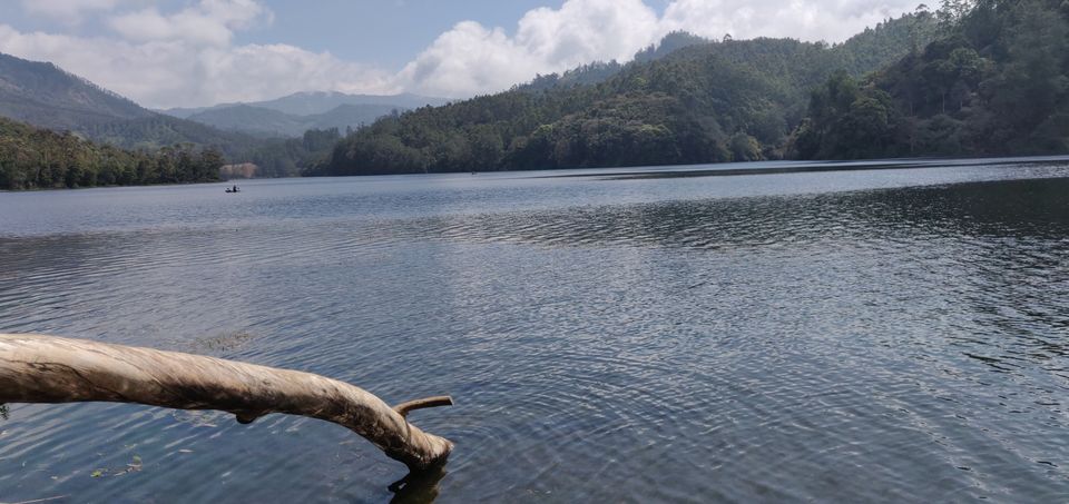 Photo of Munnar, Kerala, India by Harshad Kalled