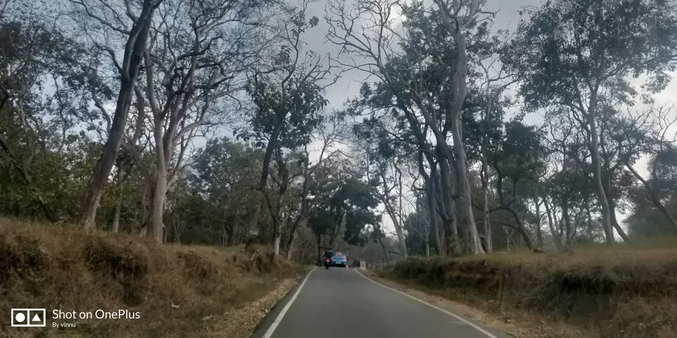 Photo of Bandipur National Park by Vinay B