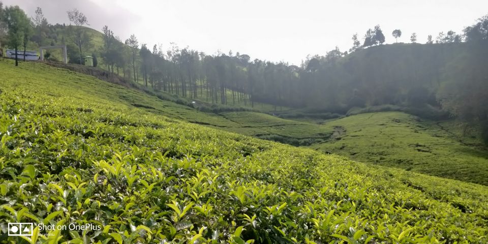 Photo of Trip to Queen of Hills.....Ooty by Vinay B