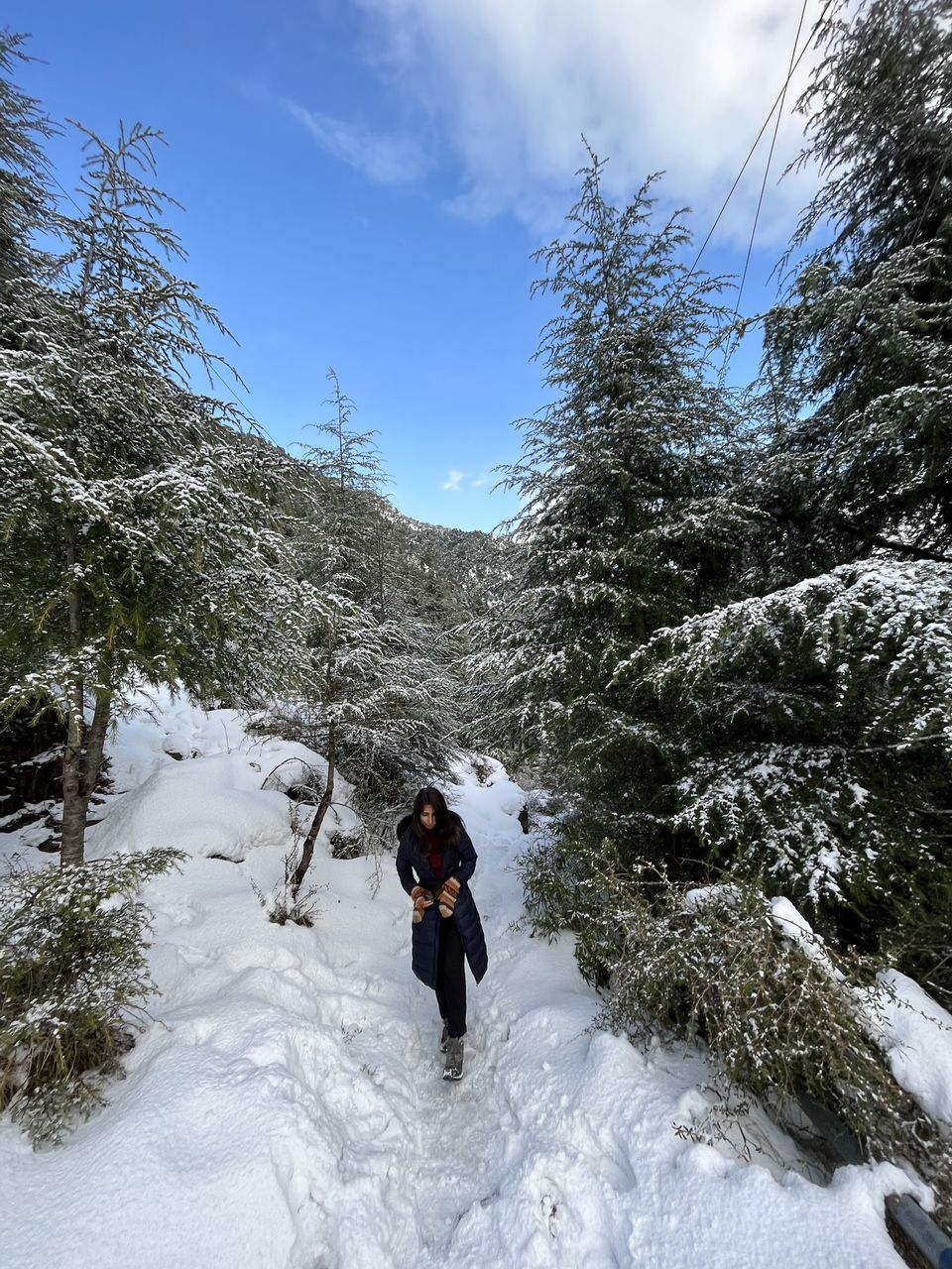 Photo of Dharamkot - Work From Mountains, Winter Guide 10/10 by Hina Nainani