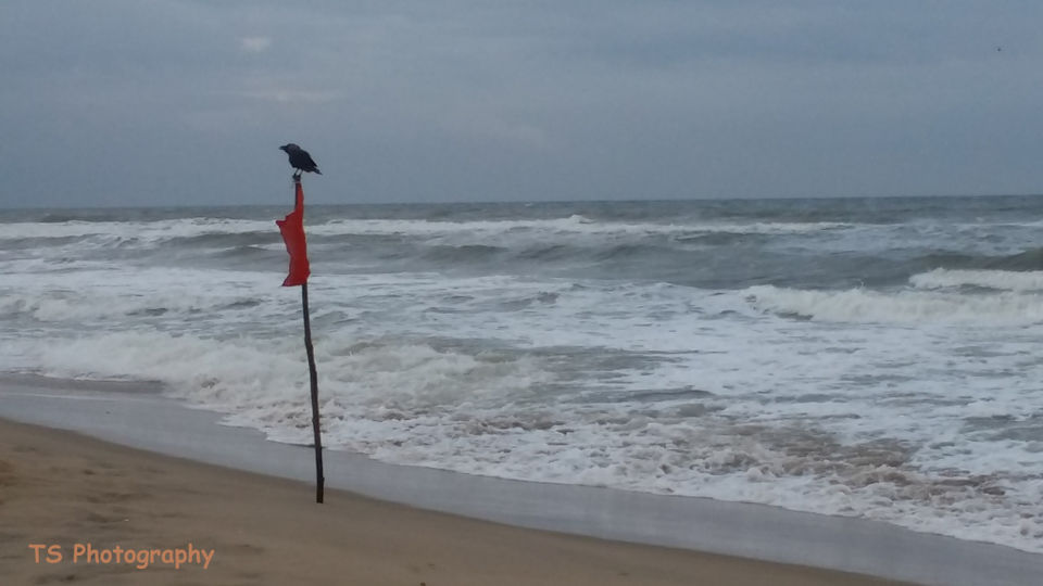 Photo of Those amazing days in Pondicherry 5/7 by Tania Roy Sengupta