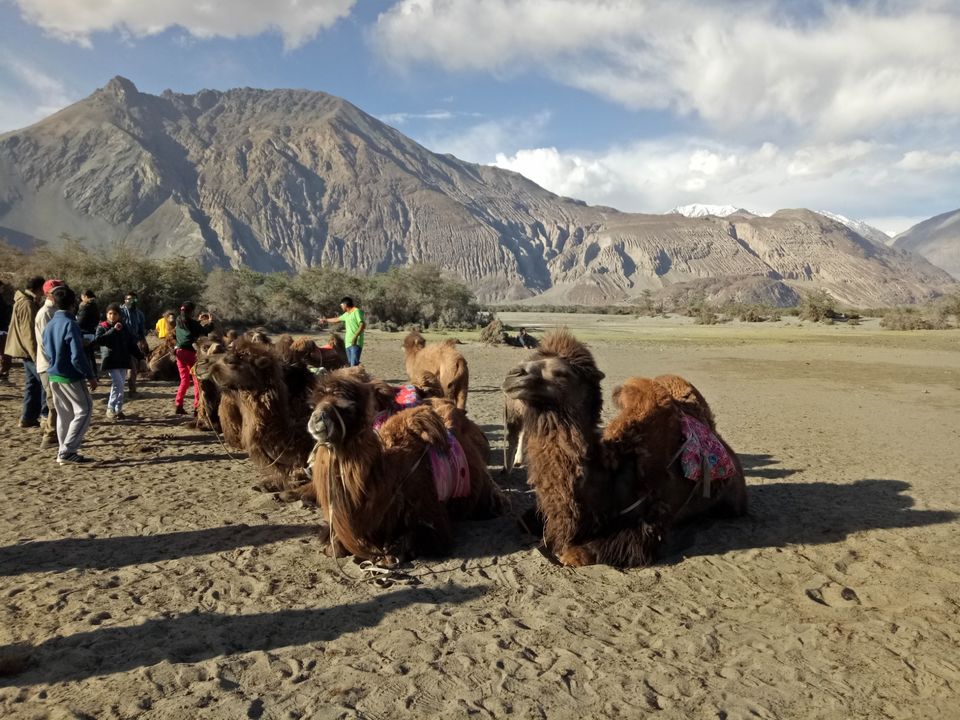 Photo of Nubra Valley by Pushpak Apte