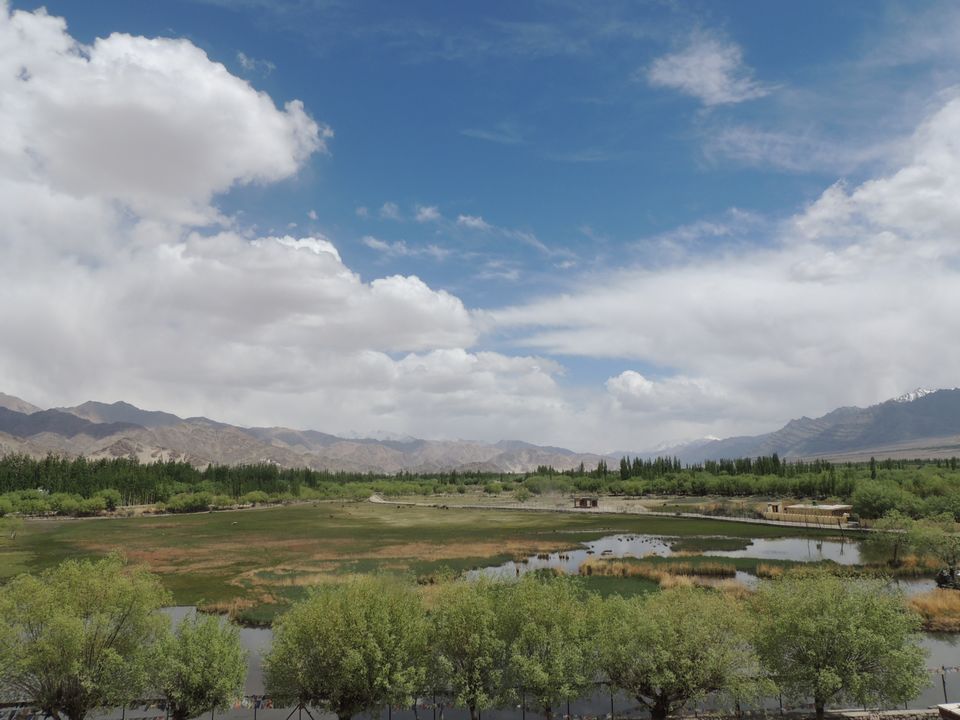 Photo of Shey Palace, Shey by Pushpak Apte