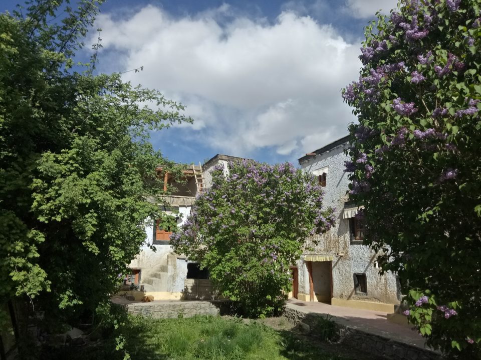 Photo of Sankar Gompa, Leh by Pushpak Apte
