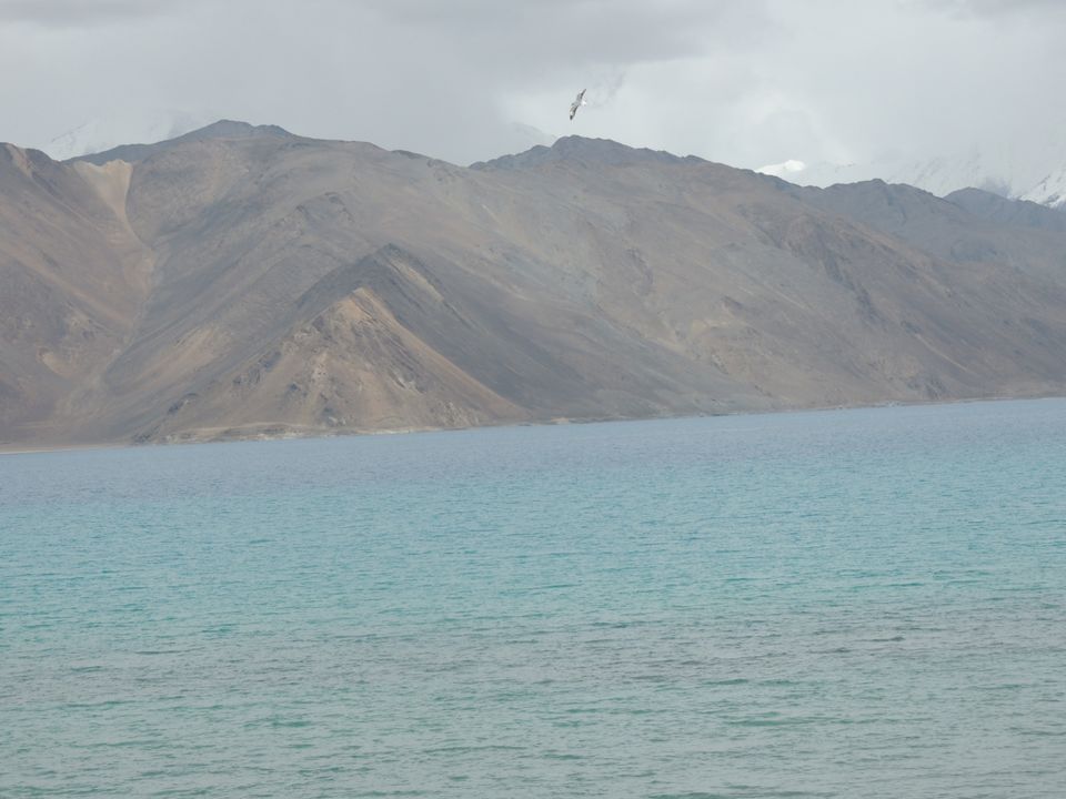 Photo of Pangong Lake by Pushpak Apte