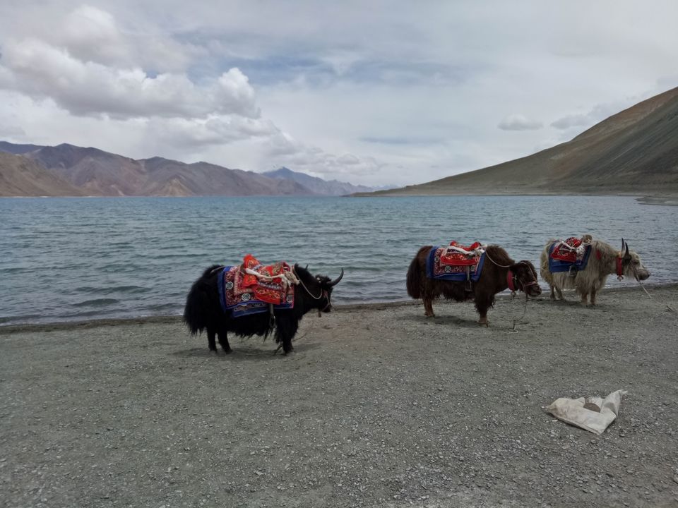 Photo of Pangong Lake by Pushpak Apte