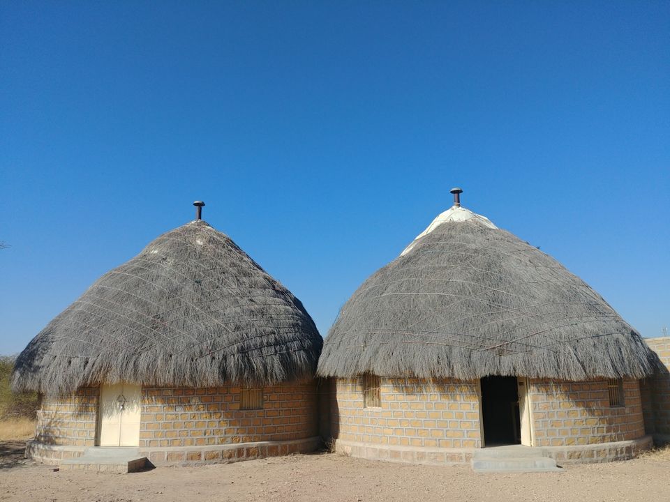Photo of Akal Wood Fossil Park, Akal, Rajasthan, India by Pushpak Apte