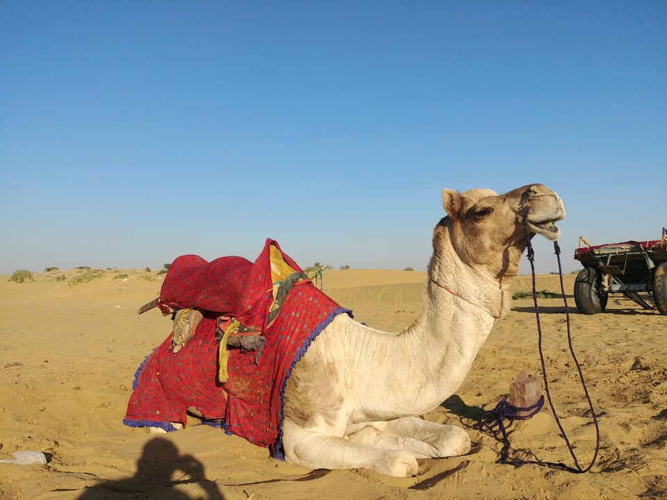 Photo of Sam Desert Safari Camp Jaisalmer, Jaisalmer, Rajasthan, India by Pushpak Apte