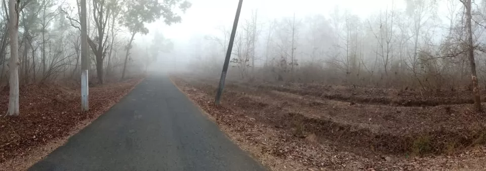 Photo of Enfield Ride to Dandeli....Heaven for nature lovers by Darshan Usapkar