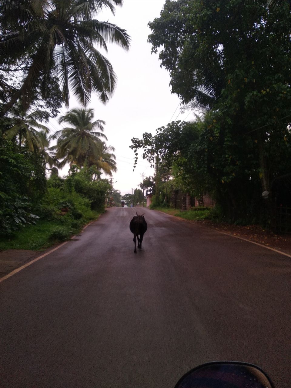 Photo of Goa : One state many emotions ???? by Sushmita Bahuguna