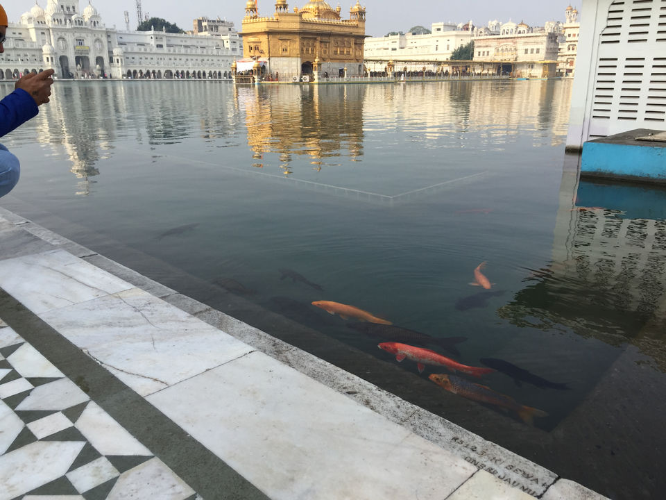 Photo of Amritsar : Dont count the calories here : Explore, enjoy and sulk in the experience by xyz