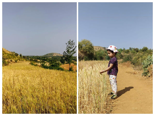 Photo of मिशन २०१९ ... किल्ला १.. रायरेश्वर! Trek with my one yr old by Snehal Gherade