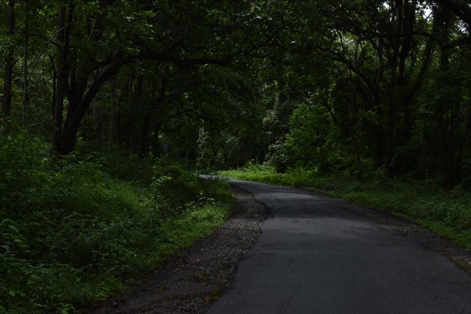 Photo of Amazing Trip to COORG by Adithya Shravan Tmas