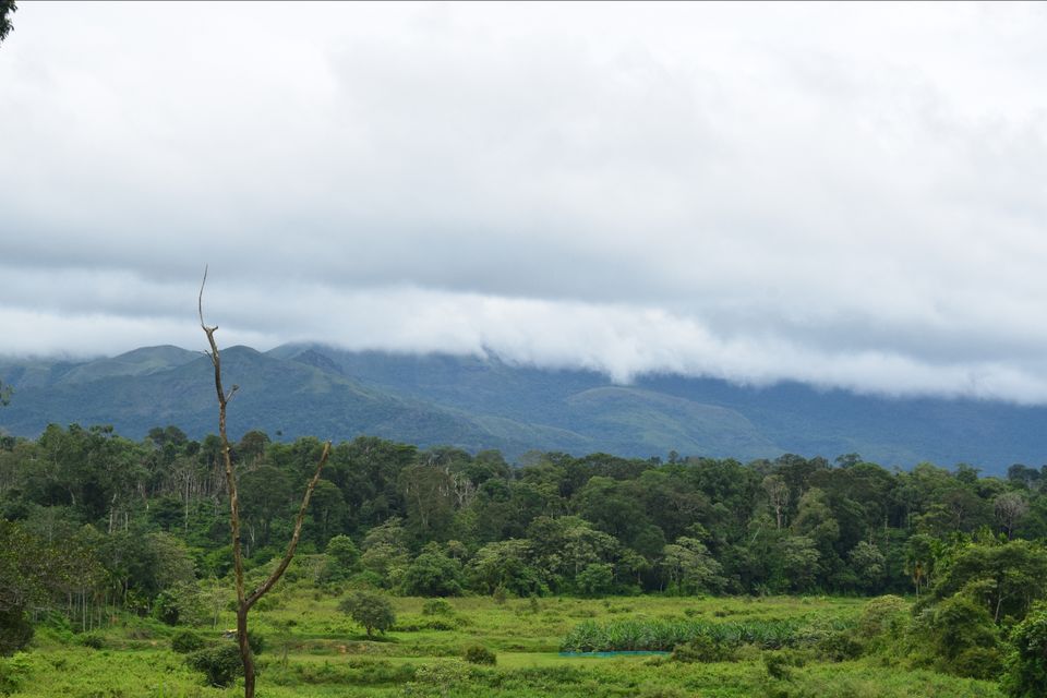 Photo of Amazing Trip to COORG by Adithya Shravan Tmas