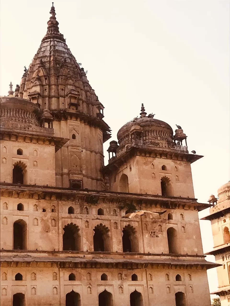 Photo of Orchha, Madhya Pradesh, India by Shivani Singh