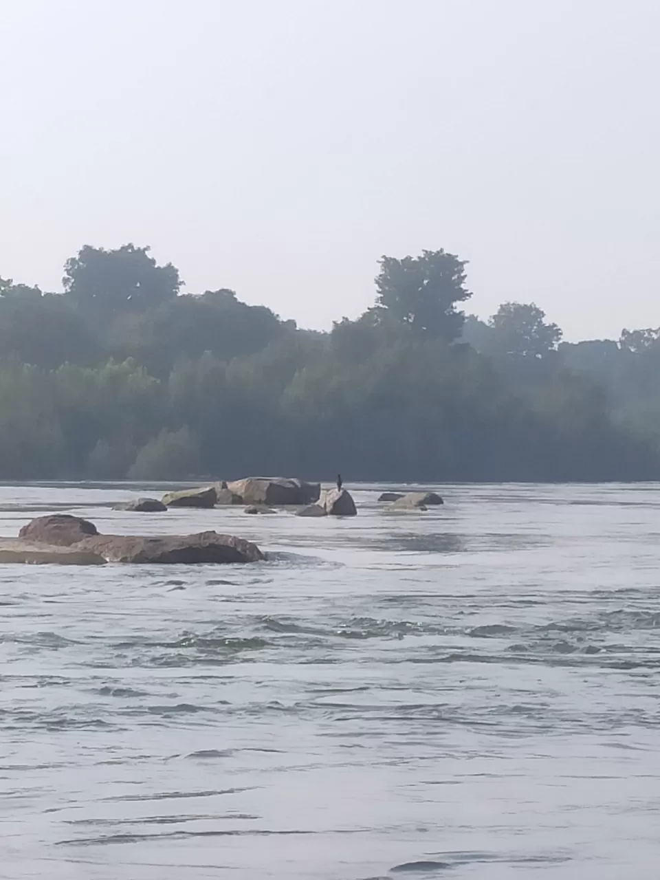 Photo of Orchha, Madhya Pradesh, India by Shivani Singh